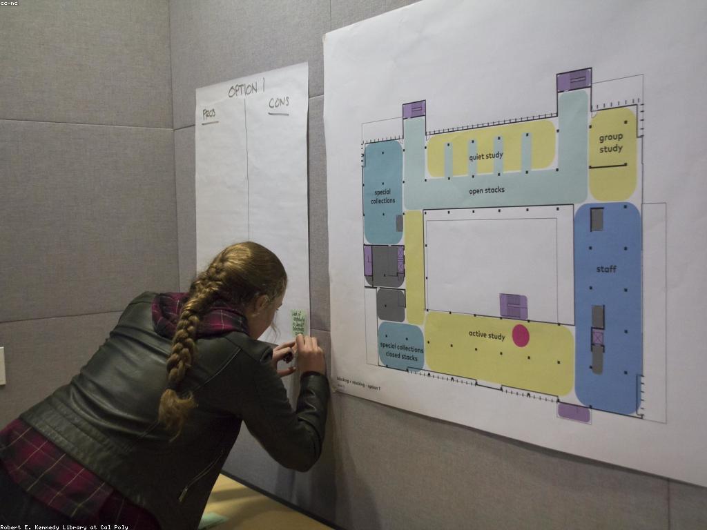 យុទ្ធសាស្ត្របាក់ការសំរាប់ការចូលរួមបន្ទាន់